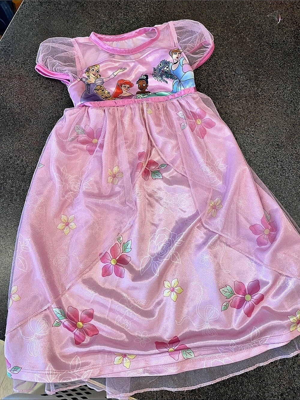 Disney Princess Girls 2T Pink Floral Dress